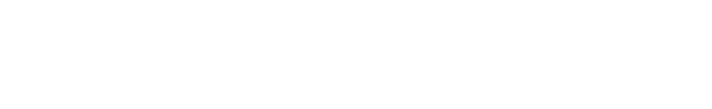 Dark Grey Europe - BCG