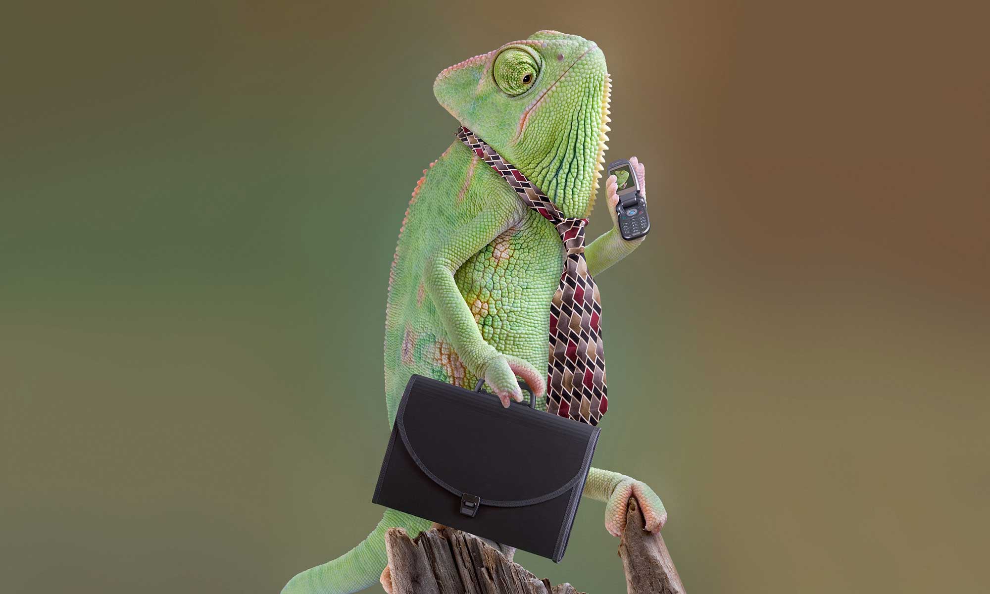 Communications Chameleon or One-Voice Choir?