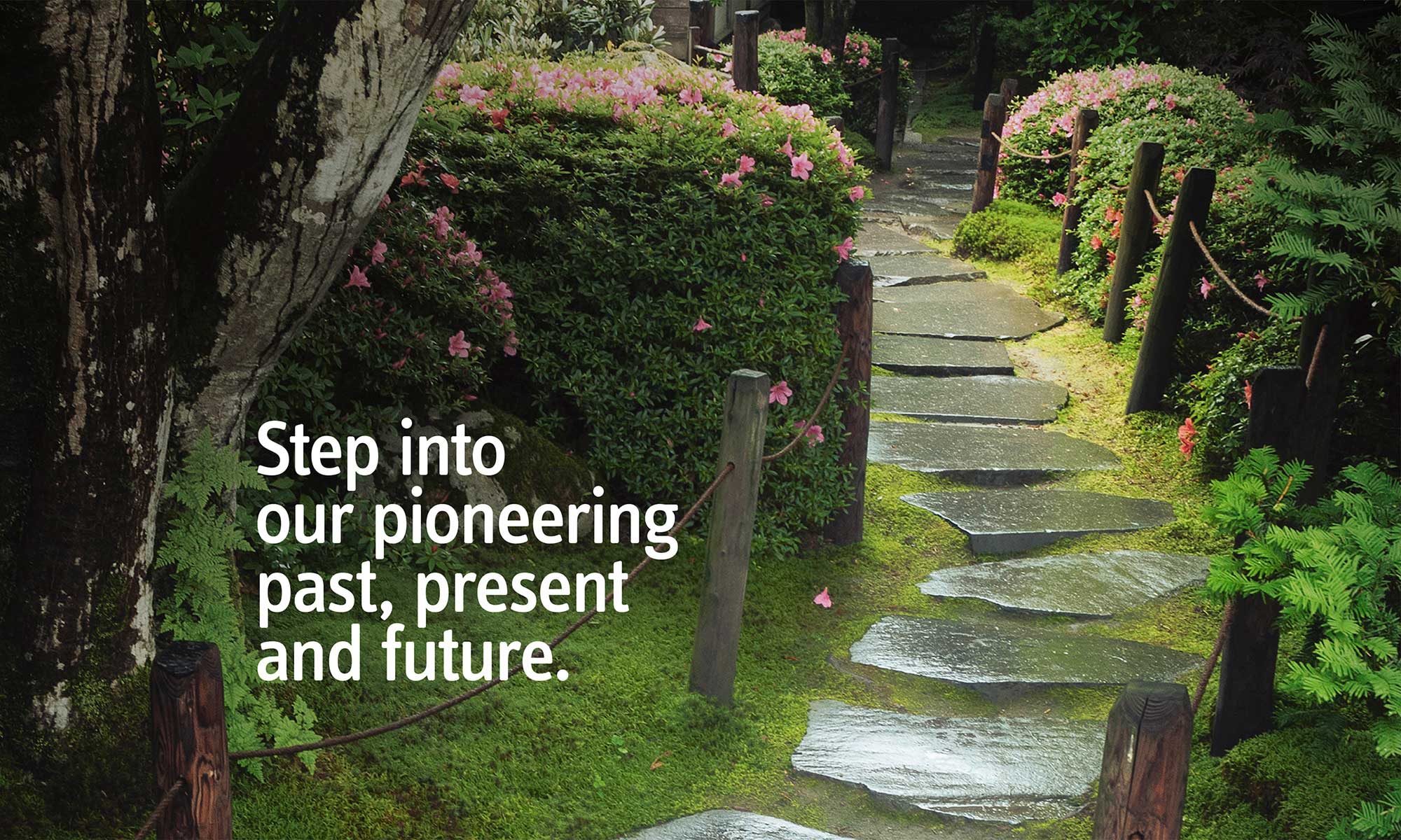 Dark Grey World - Fujirebio - Corporate Identity