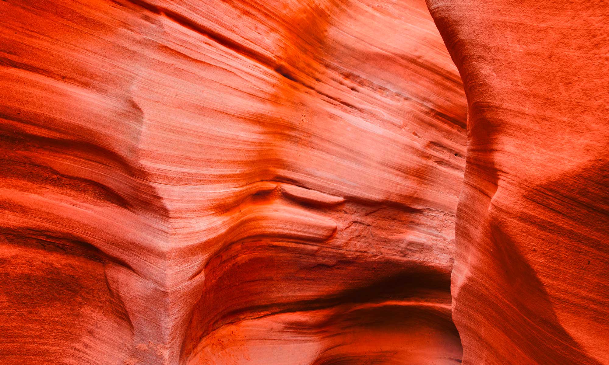 Dark Grey World - Milliken ColorDirection 2021 - Summer Dawn