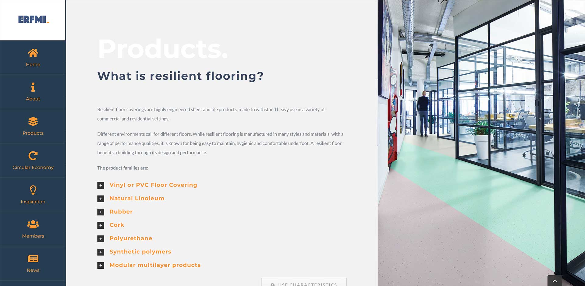 Dark Grey World - ERFMI